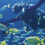 scuba diver with fish